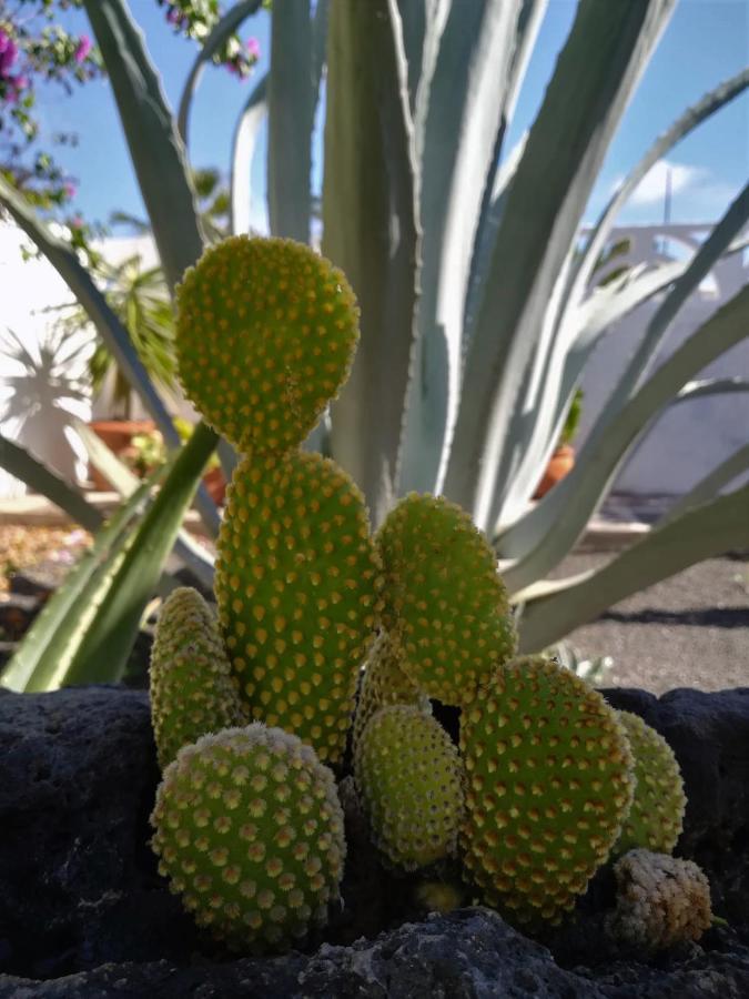 Casa Azmira Del Mar Villa Guatiza Eksteriør bilde